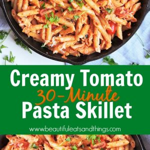 penne pasta with a creamy tomato sauce, served in a cast iron skillet, top with fresh basil