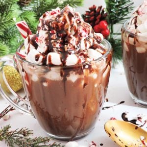 Boozy Bourbon Peppermint Hot Chocolate topped with whipped cream, marshmallows, chocolate syrup and peppermint in a clear mug