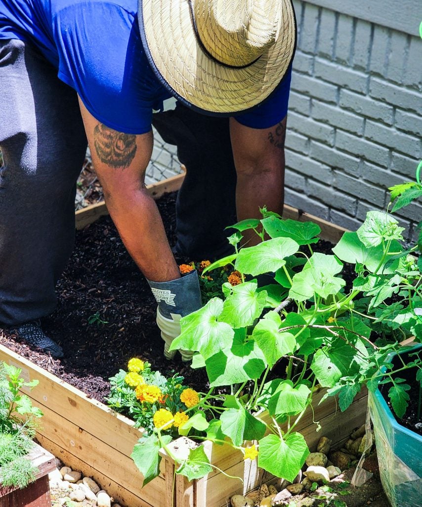 small container gardening in a small space or backyard
beautifuleatsandthings.com
