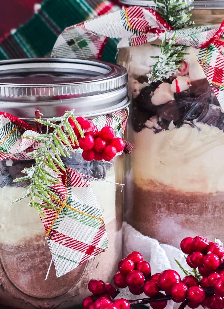 DIY Double Chocolate Peppermint Hot Cocoa Mix, perfect gift for the holidays and christmas
beautifuleatsandthings.com