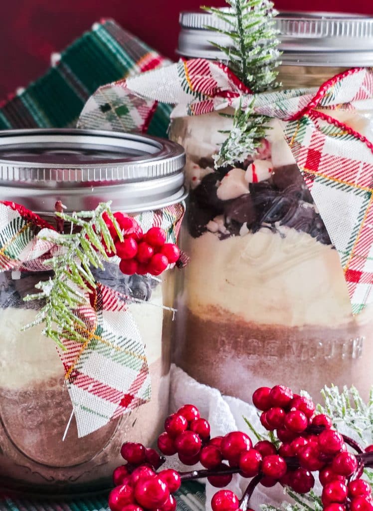 DIY Double Chocolate Peppermint Hot Cocoa Mix, perfect gift for the holidays and christmas
beautifuleatsandthings.com