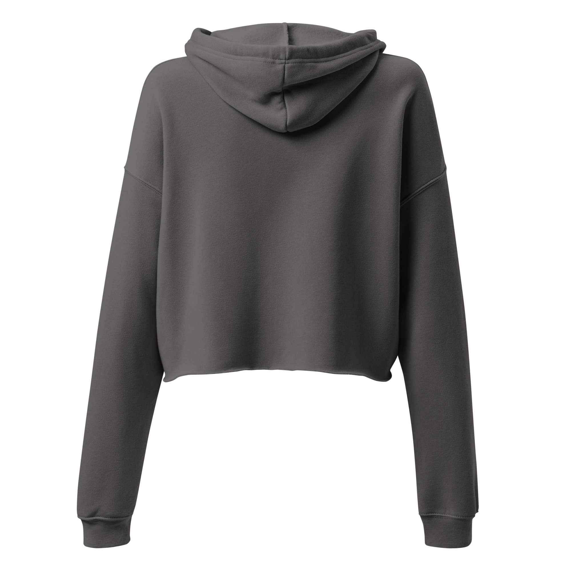 This Dietitian Is...Valentine's Crop Hoodie - Image 12